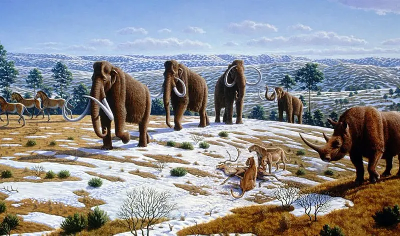 Absence Of Humans And Advanced Predators