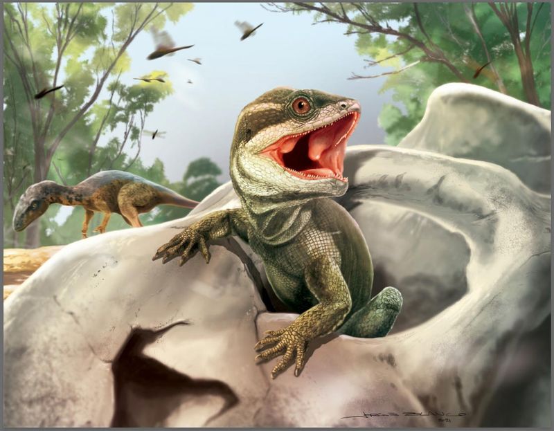 The Fossil Sheds Light On Early Reptilian Life