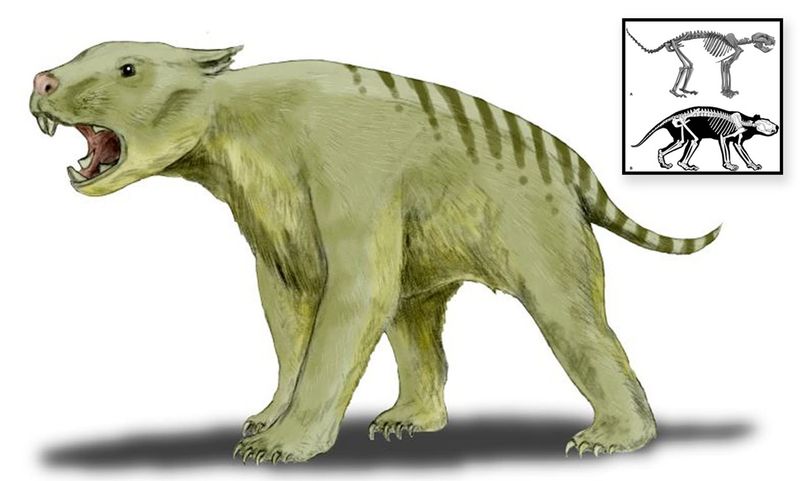 It Was Likely An Ambush Predator
