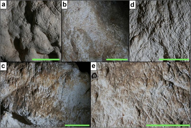 It Left Behind Claw Marks In Caves