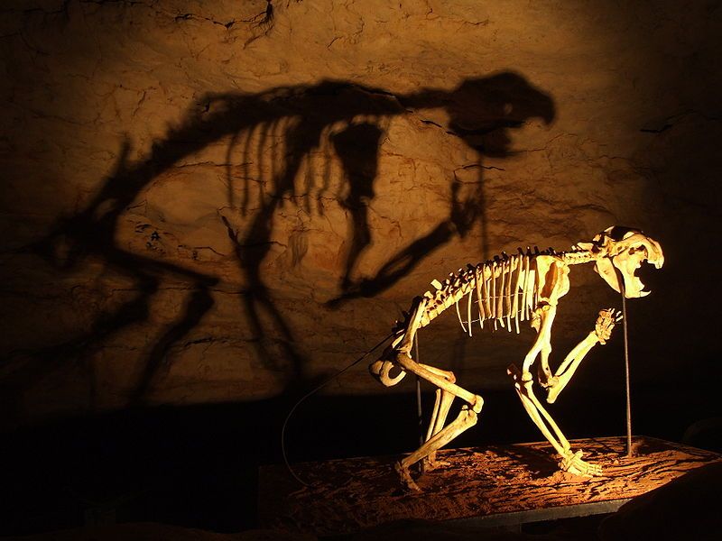 It's One Of The Most Unique Predators In Prehistoric History