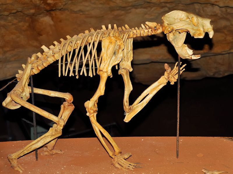 It Had Strange, Knife-Like Incisors