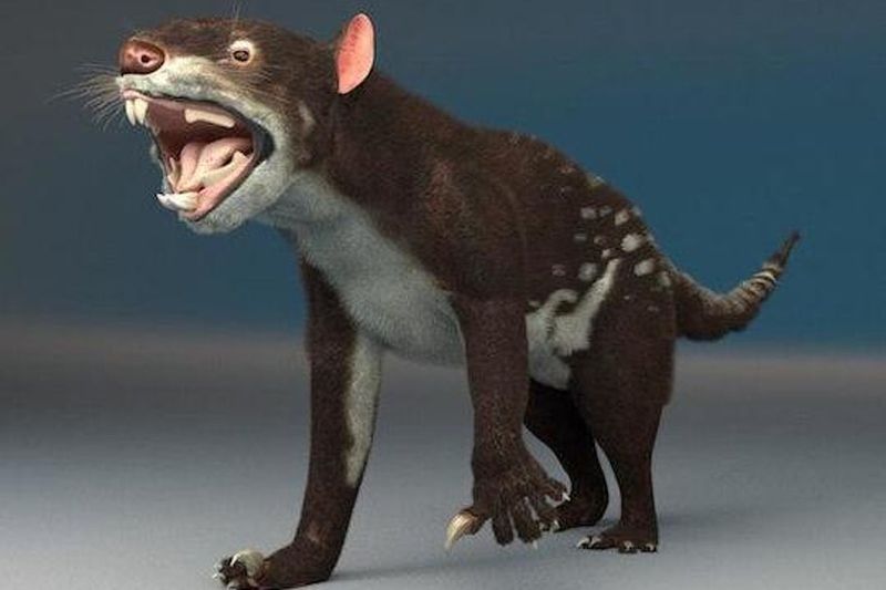 It Vanished Around 46,000 Years Ago