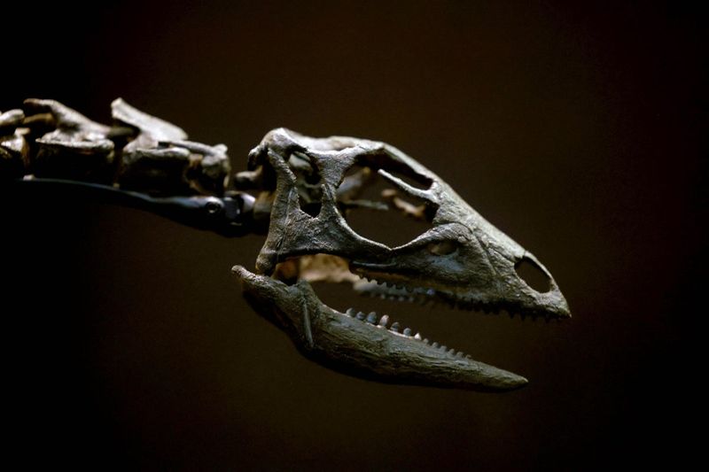 Scientific Identity Crisis
