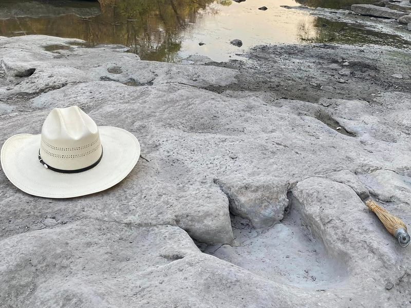 Walk Among Giants at Dinosaur Valley State Park, Texas