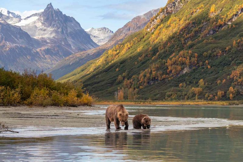 Lake Clark National Park: Hidden Bear Paradise