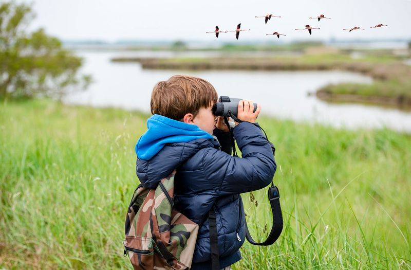 Join A Local Birding Group
