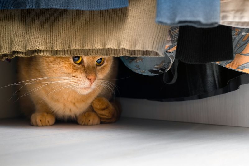 Block Access To Favorite Hiding Spots