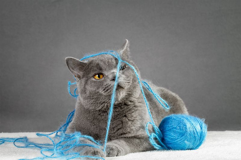 Leave String-Like Items Accessible