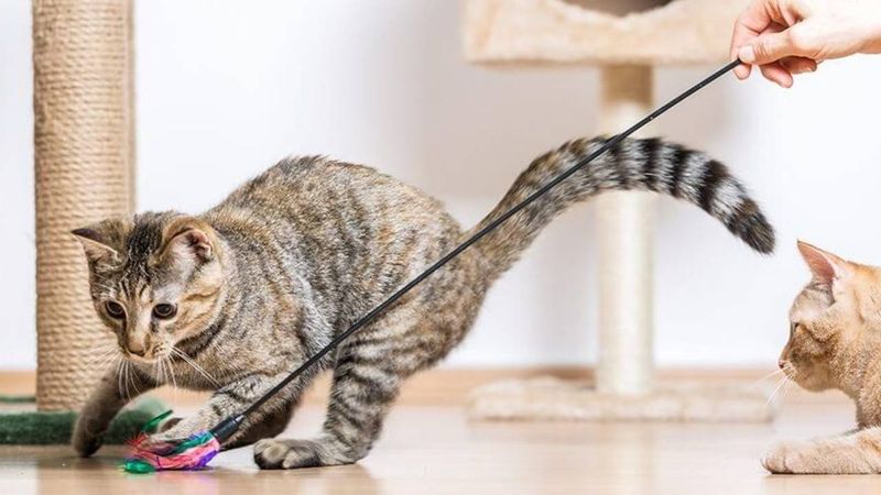 Gentle Exercise Sessions Keep Muscles Strong