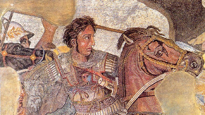 Bucephalus