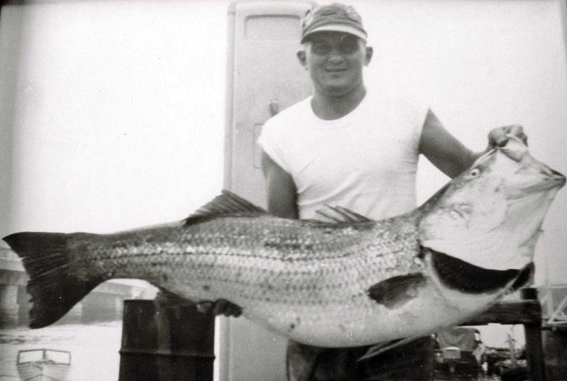 Martha's Vineyard Monster Striper