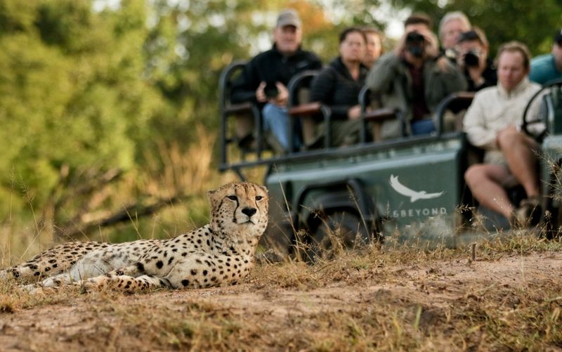 Phinda Private Game Reserve, South Africa