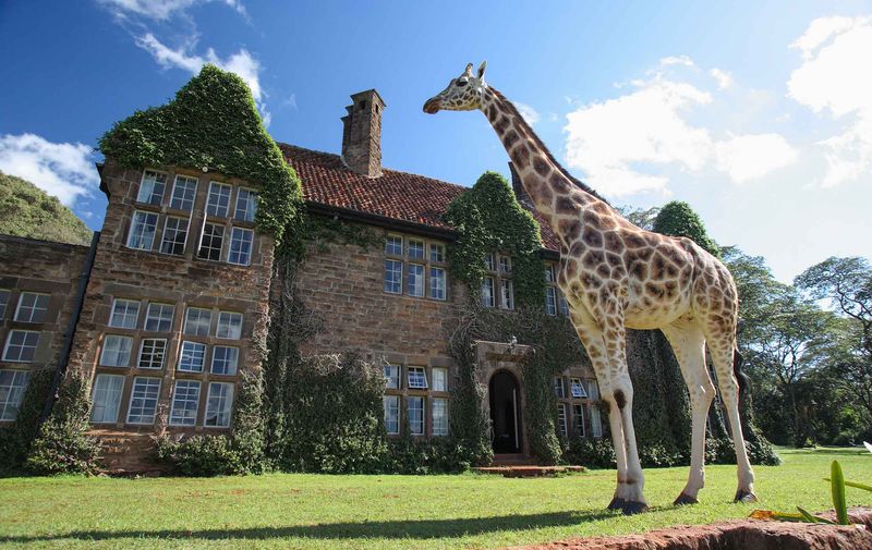 Garage Giraffes