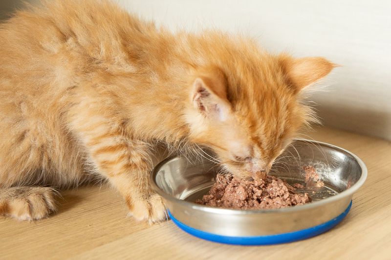 Select Proper Nutrition For Growth