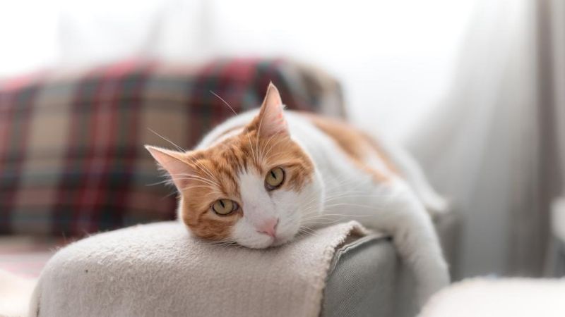 Changes In Sleep Patterns