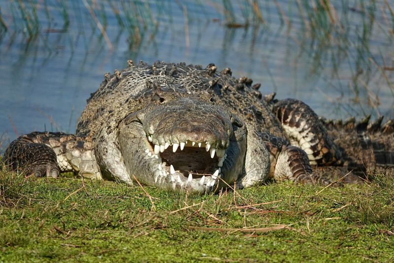 Everglades National Park, Florida
