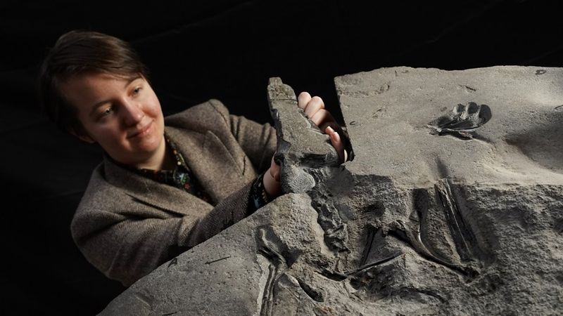 Unearthing A Jurassic Giant On The Isle Of Skye