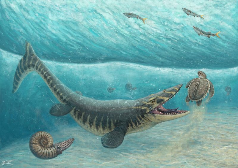 Ancient Mississippi's Underwater World