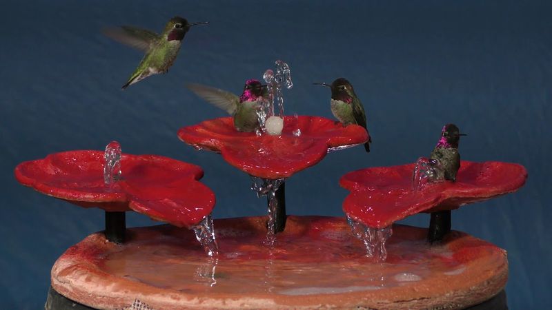 Tabletop Waterfall Birdbath