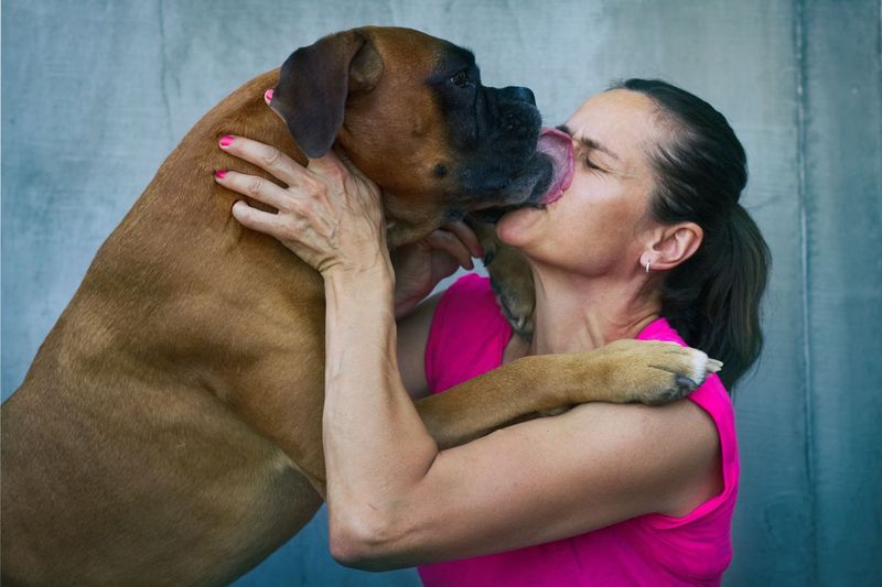 Licking Your Face Or Hands