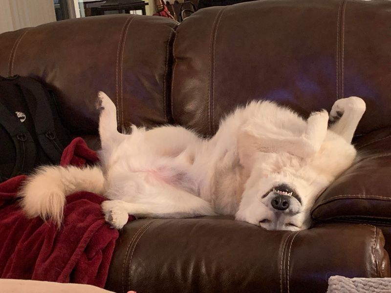 Sleeping In Weird Positions