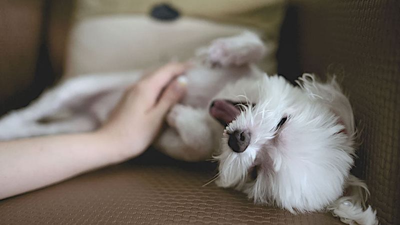 Massage And Gentle Touch