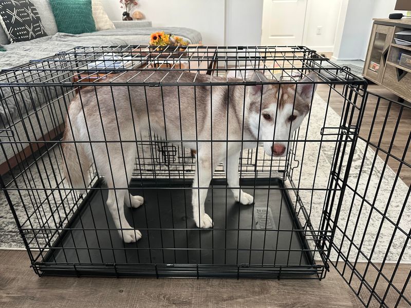 Confine In Too-Small Spaces