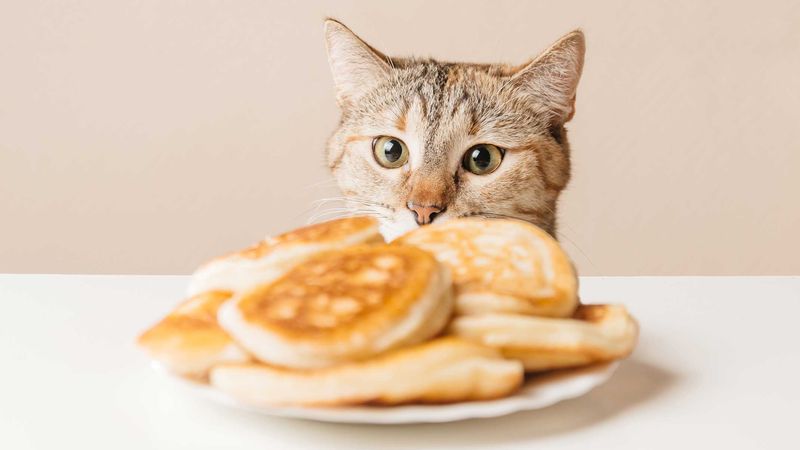 Keep Harmful Foods Accessible