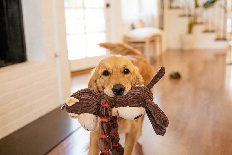 Skipping Playtime