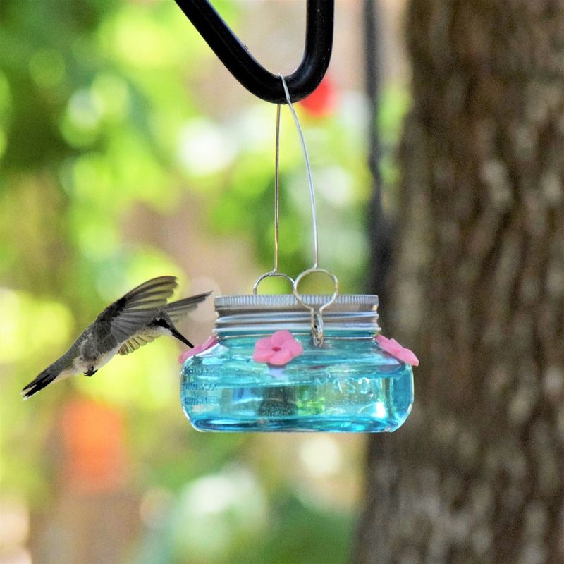 Mason Jar Seed Server