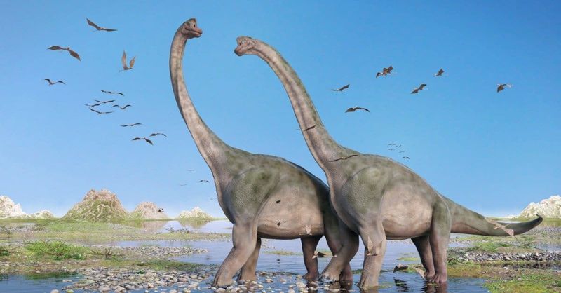 Three Species Strong