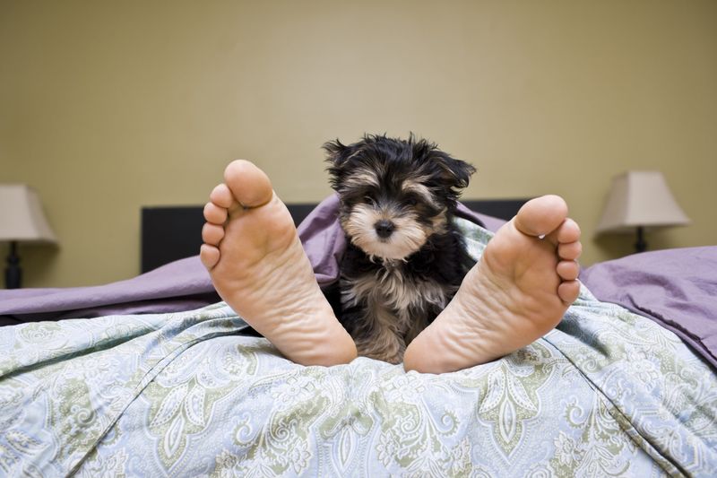 Your Sleep Schedule Gets A Serious Makeover