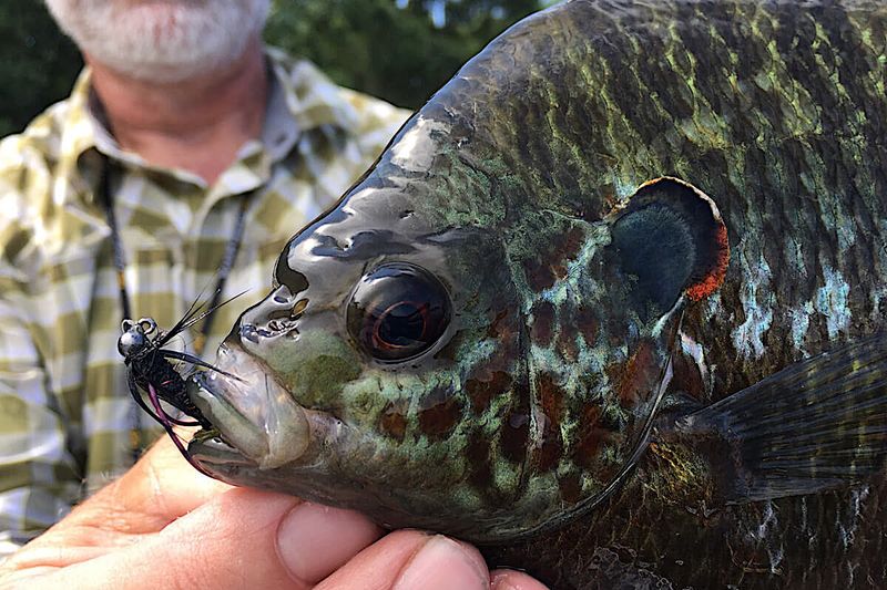 Fly Rods And Float Rigs Give You Finesse