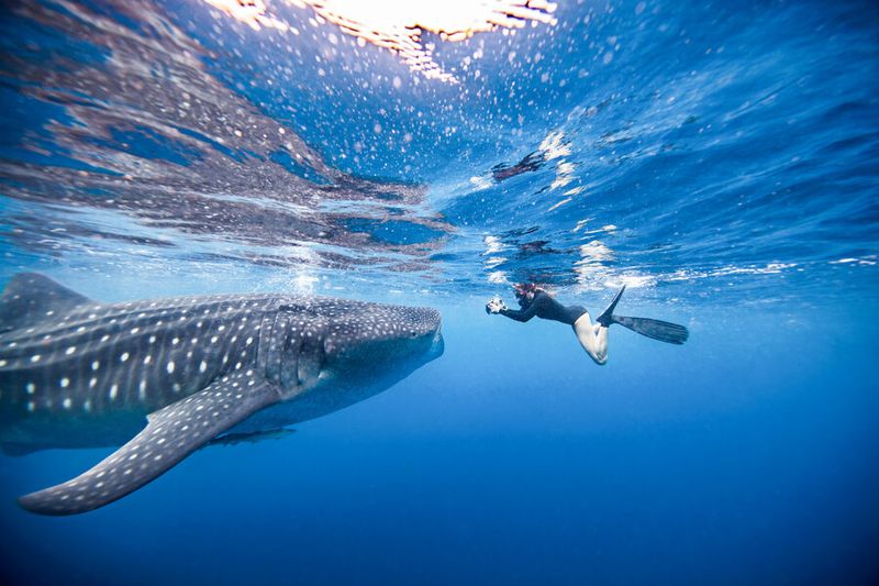Carbon Footprint Warming The Waters