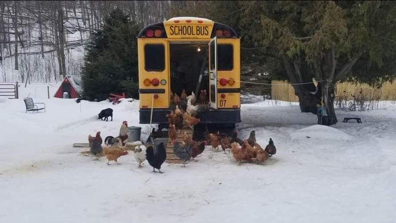 Converted School Bus Coop