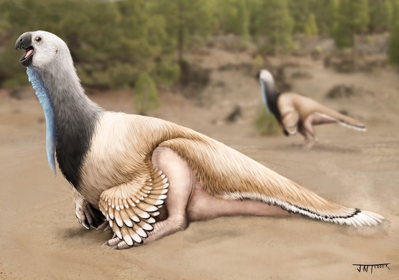 Mystery Diet: Predator Or Plant-Eater?