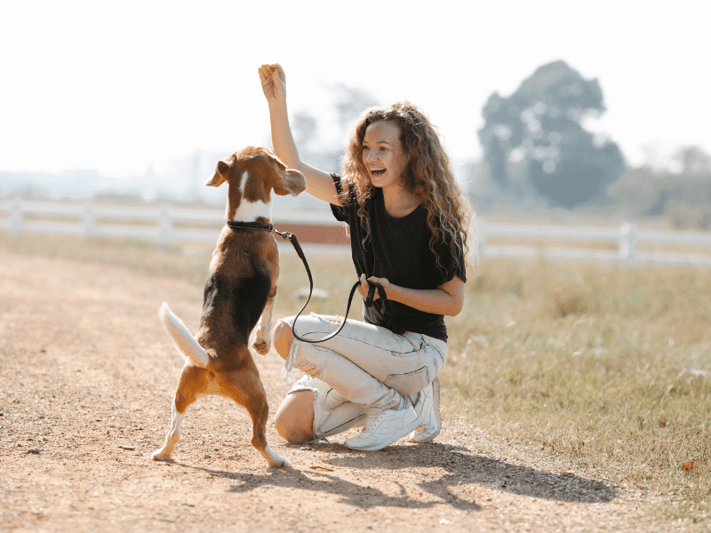 Inconsistent Training And Boundaries