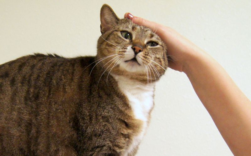 Establish Eye-Level Meetings