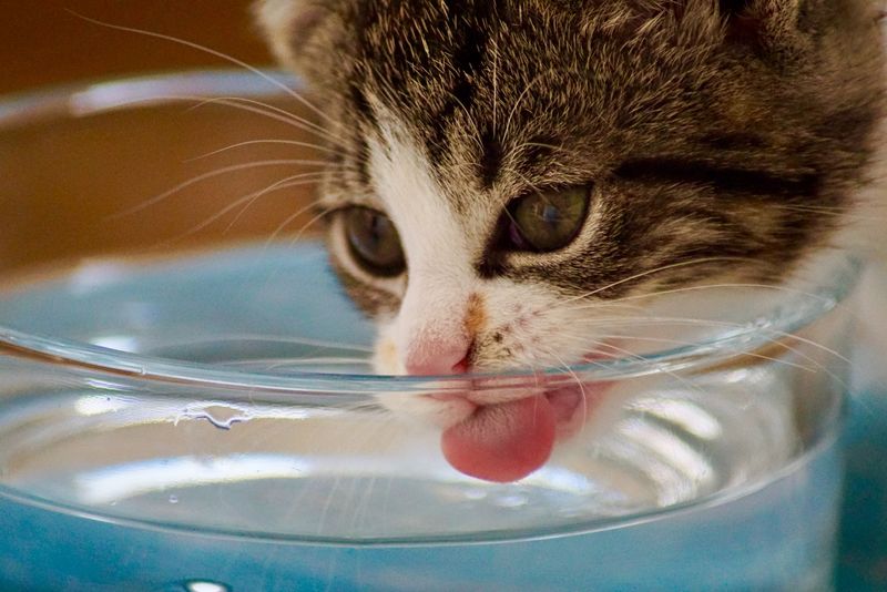 Unexpected Thirst Increase