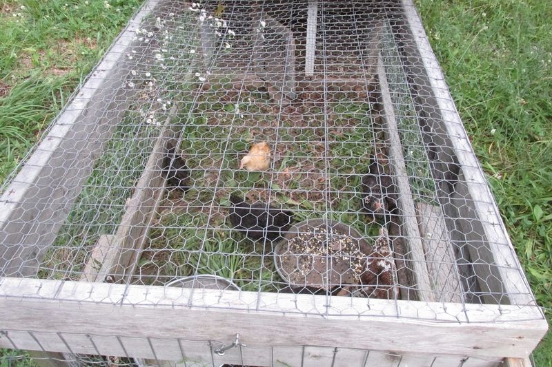 Overhead Netting Systems