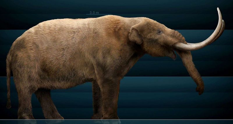 Tusks In The Swamp: Florida's Ancient Mastodons