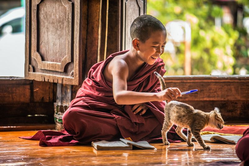 Mindfulness Teachers