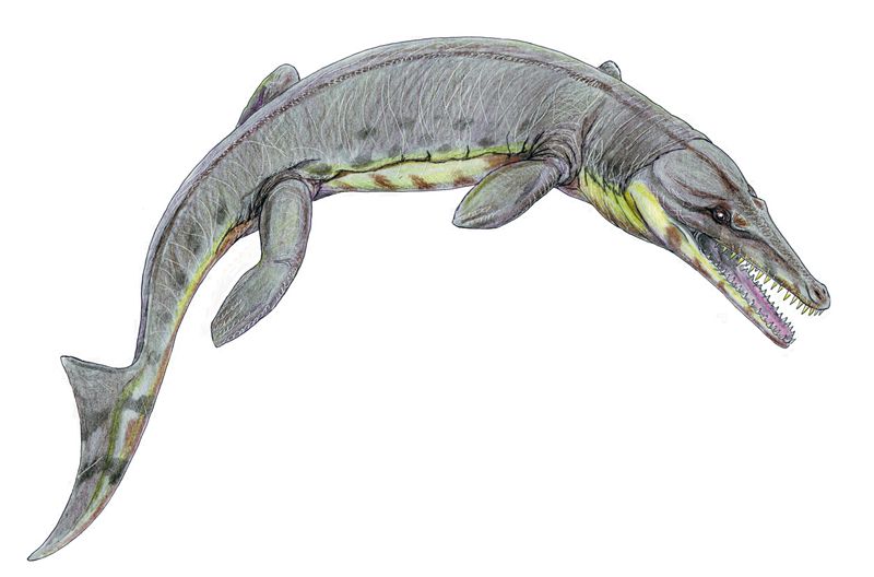 Croc-Faced Predator