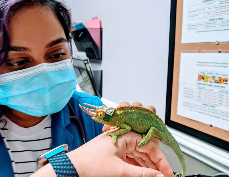 Reduced Veterinary Expenses