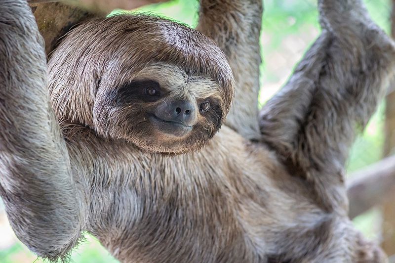 Louisville Zoo, Kentucky