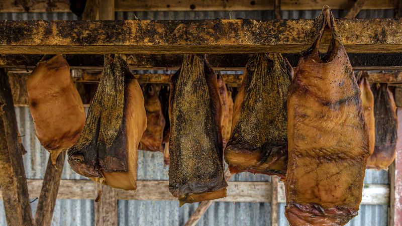 Unique Diet: Toxic To Humans