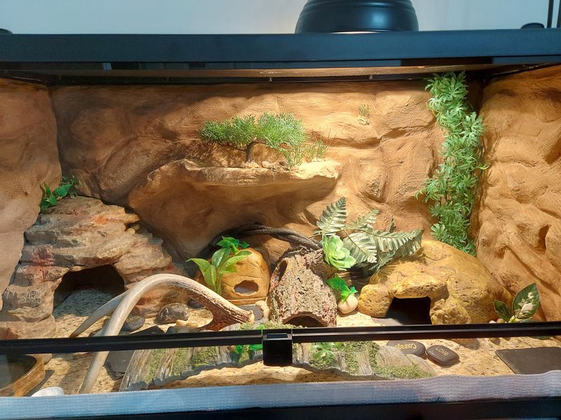 Faux Rock Background