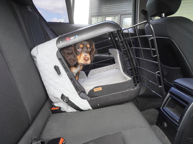 Secure Loose Items In Your Vehicle