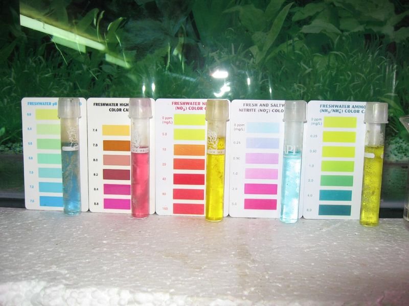 Test Water Parameters Regularly